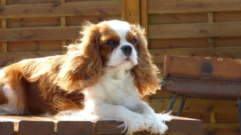 Groove baby groove du pré au comte